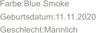 Farbe:Blue Smoke Geburtsdatum:11.11.2020 Geschlecht:Mnnlich